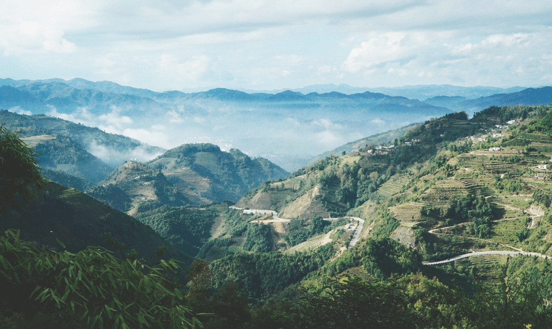 4 ситуации, в которых ваше здоровье скажет «спасибо» за чай с типсами