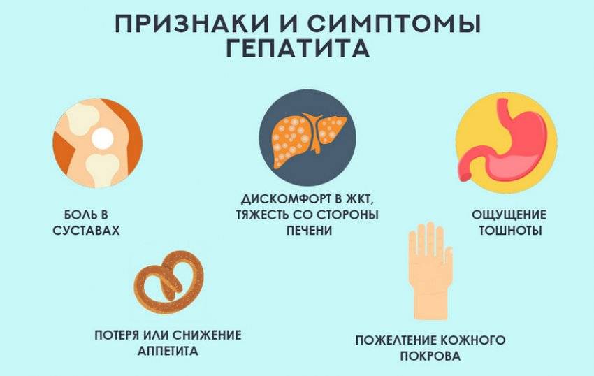 Корень шиповника – полезные свойства и особенности заваривания