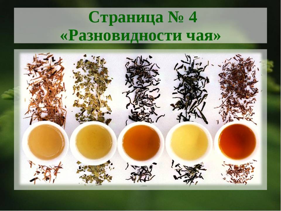 Какой самый вкусный чай? самый вкусный и полезный чай :: syl.ru