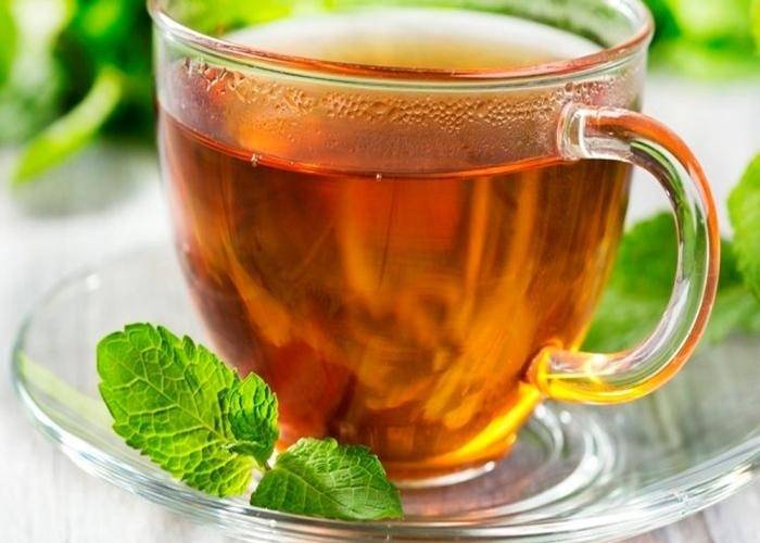 Полезные свойства чая с мятой и противопоказания к применению