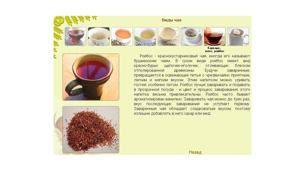 Ассам, дарджилинг, нилгири, масала - лучшие индийские чаи