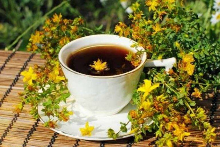 Чай из календулы: полезные свойства, противопоказания, рецепты приготовления