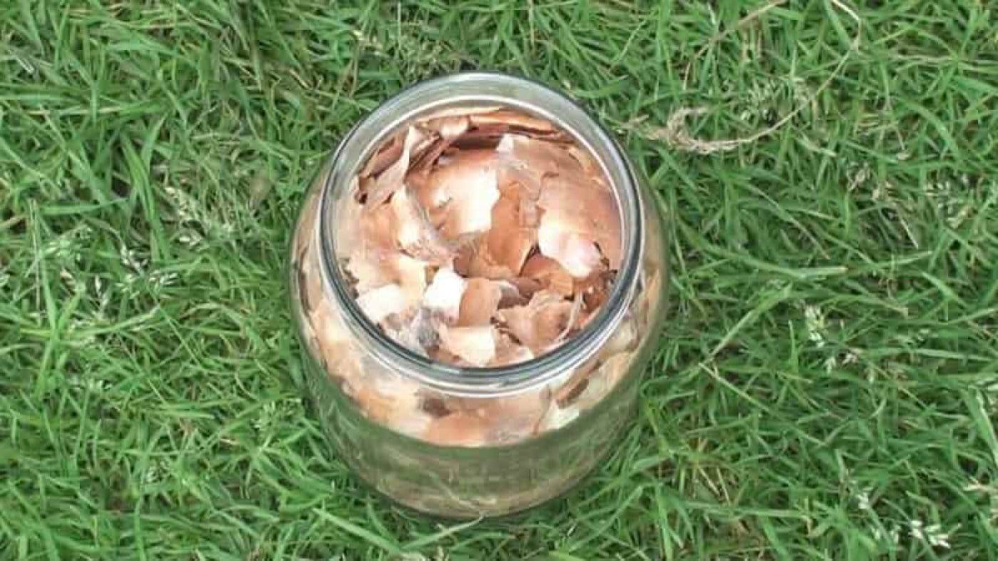 Луковый отвар