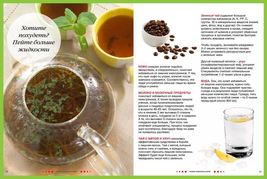 Зеленый чай с молоком для похудения - польза и вред | | irksportmol.ru