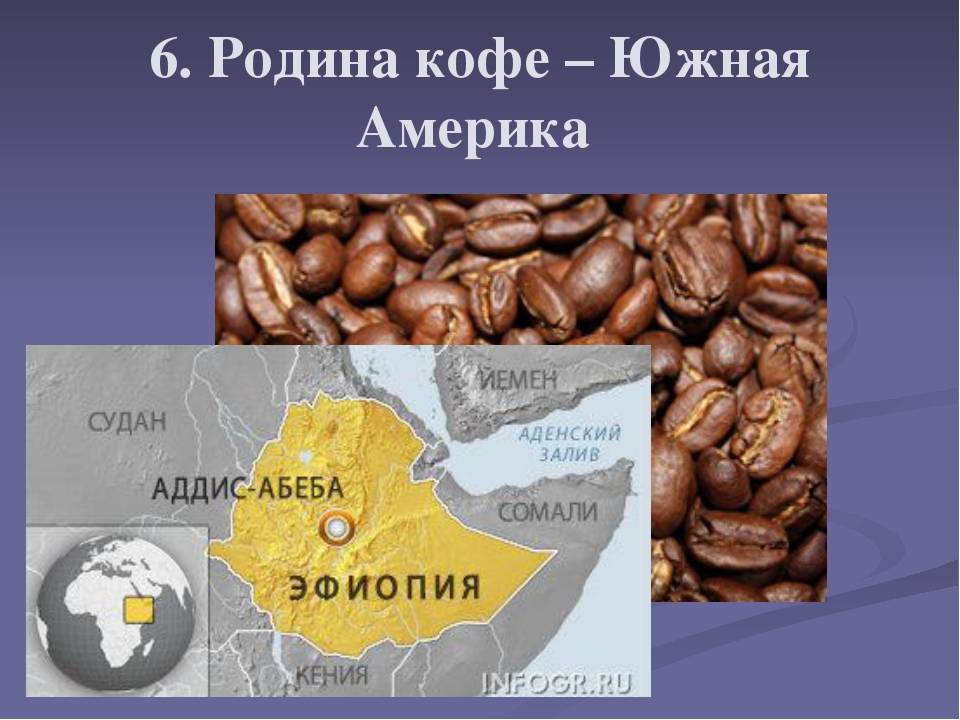 Кофе страна происхождения, откуда появилось и кто изобрел кофе