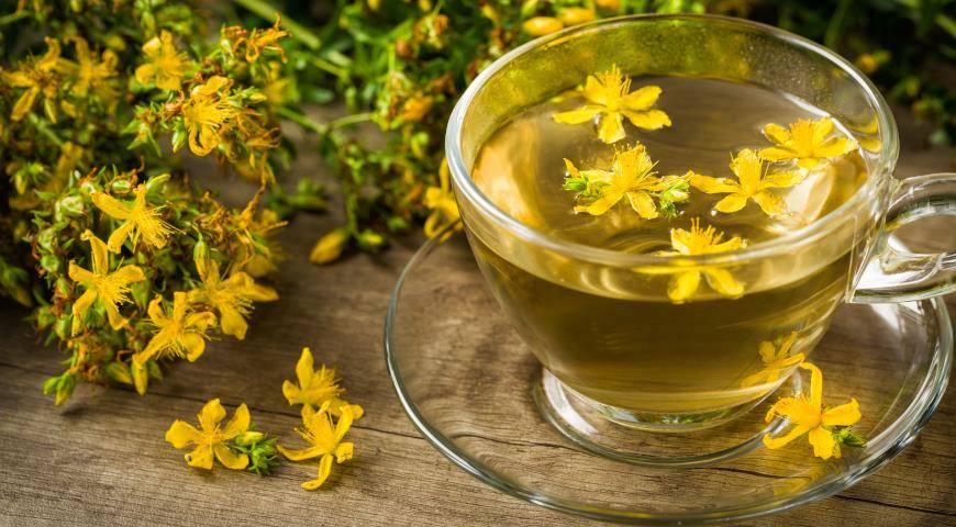 Чай из зверобоя: польза и вред для организма, показания к применению