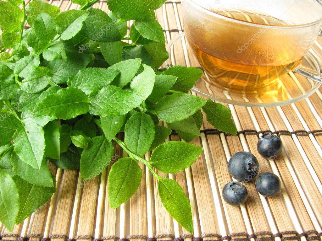 Чай с черникой: польза и вред - рецепты домашнего черничного чая из листьев