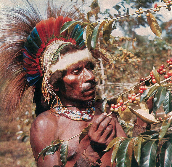 Характеристика кофе Папуа – Новой Гвинеи