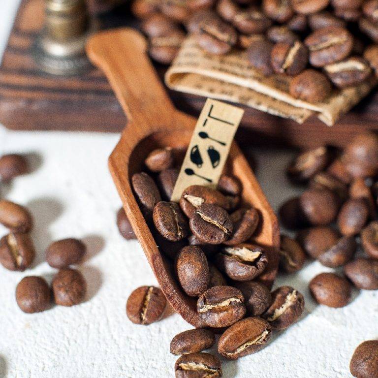 Топ-15 лучших сортов кофе в зернах