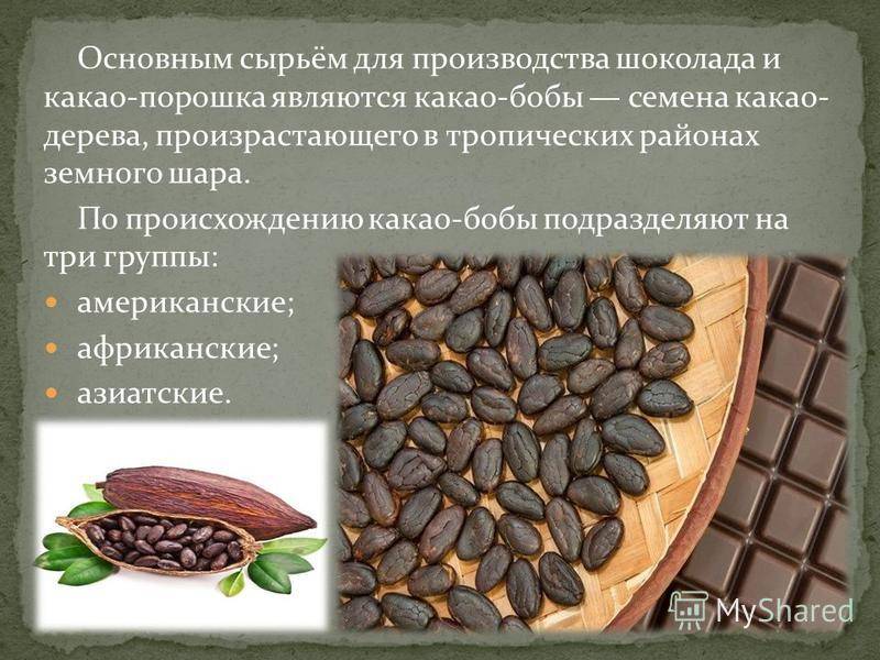 Какао-порошок – состав и свойства продукта; как выбрать и приготовить