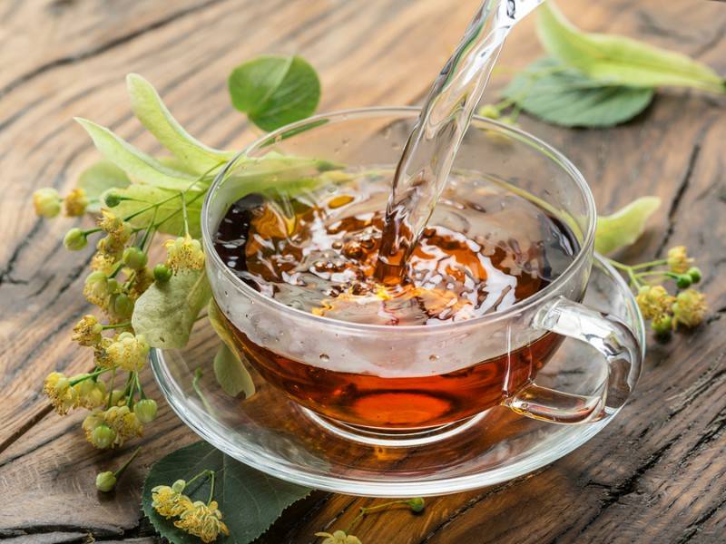 Чай пустырник: польза и вред, рецепты