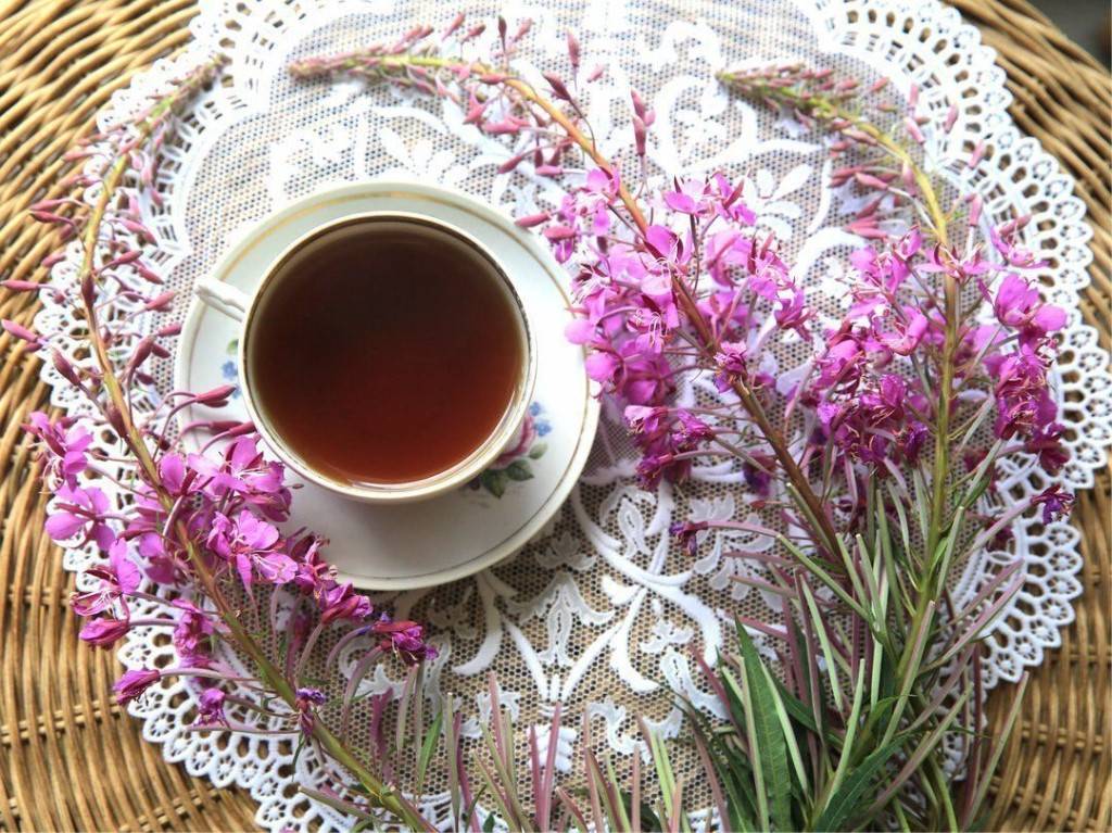 Как правильно заваривать иван-чай: рецепты и особенности приготовления