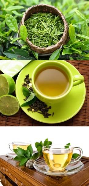Зеленый чай при похудении: польза и вред, как правильно пить
