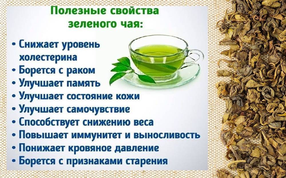 Чай с калиной — польза и вред, как заваривать и как пить