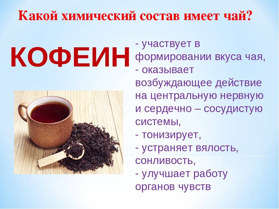 Черный чай: польза и вред для организма мужчин и женщин