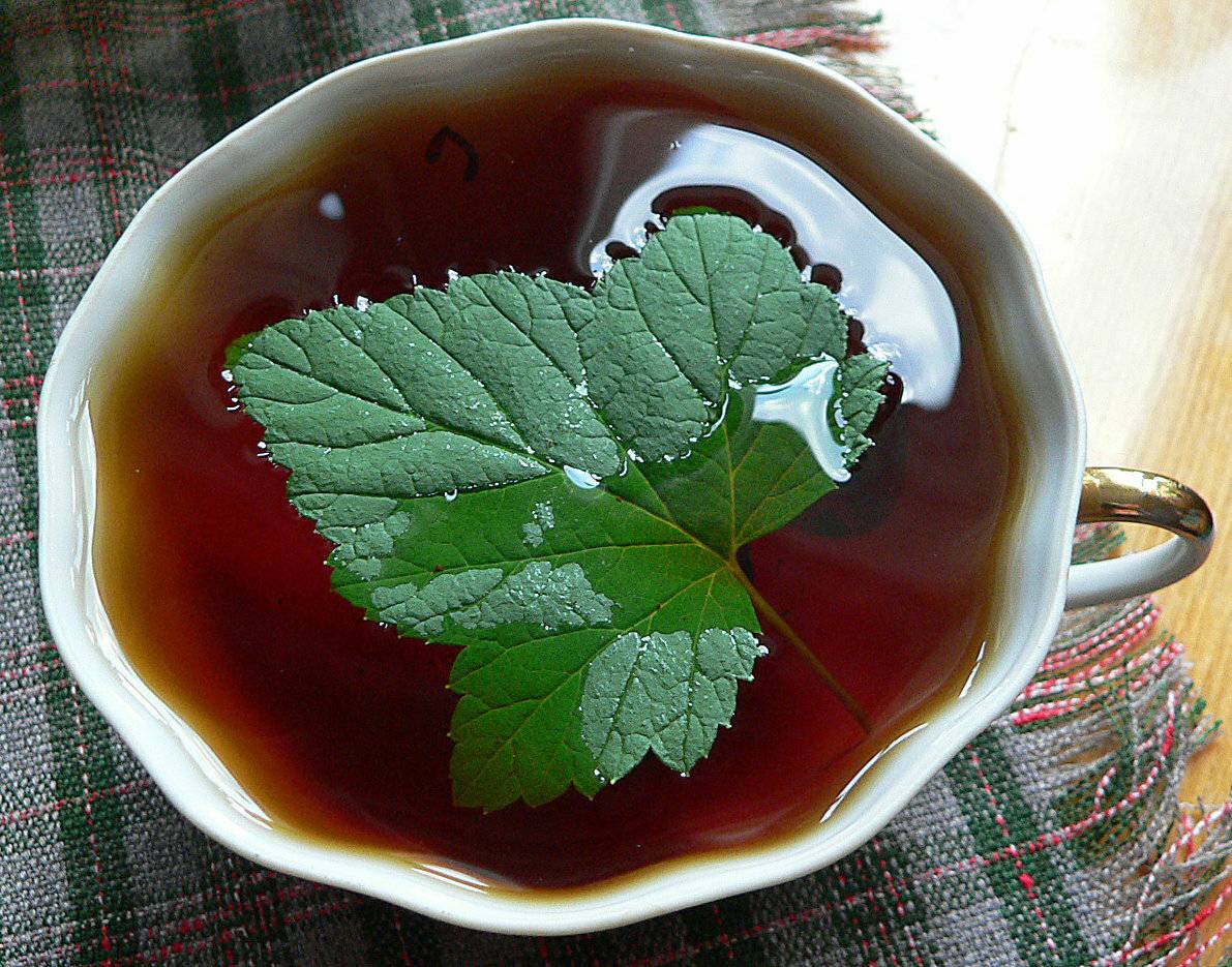 ️ферментация листьев малины в домашних условиях: как сделать чай, рецепт