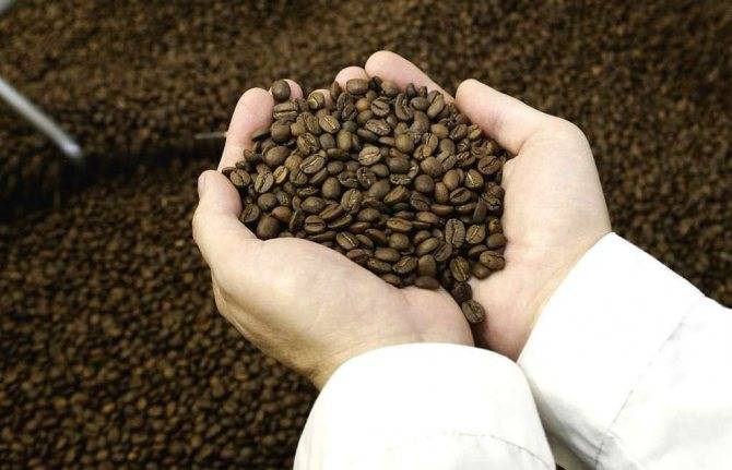 4 лучших вида кофе марки Моккона и история ее создания