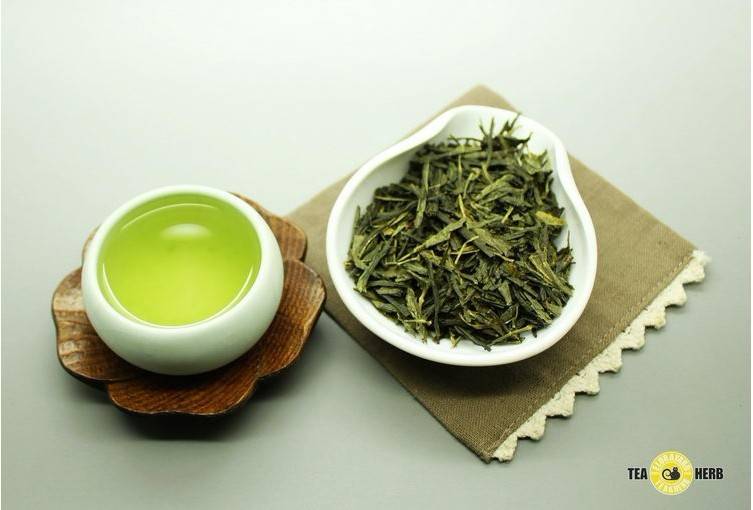 Маття: полезные свойства, состав и вкус чая | food and health