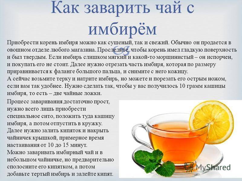 Чай с лимонником (рецепты) — польза и вред