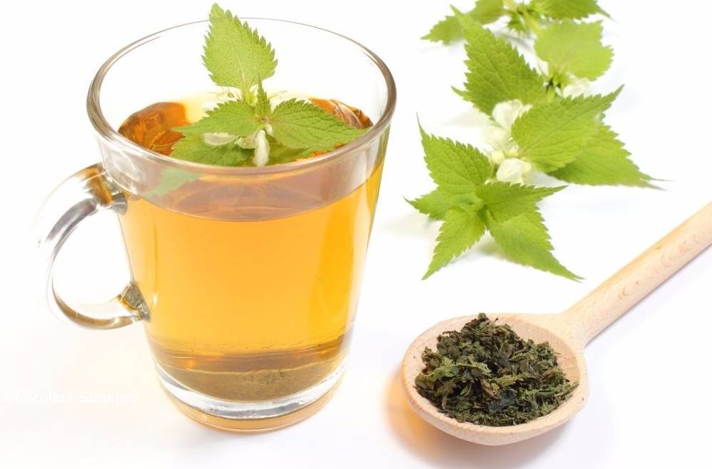 Польза и вред чая из крапивы, как правильно заваривать и пить напиток