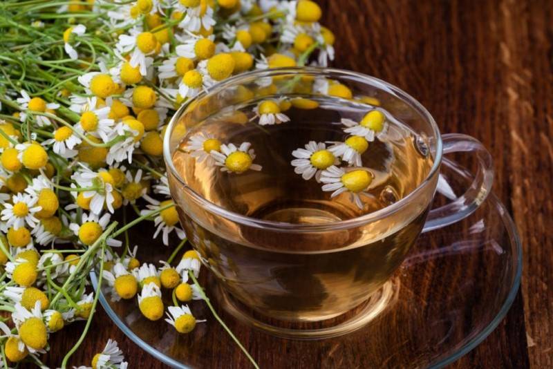 7 полезных свойств ромашкового чая для здоровья женщин
