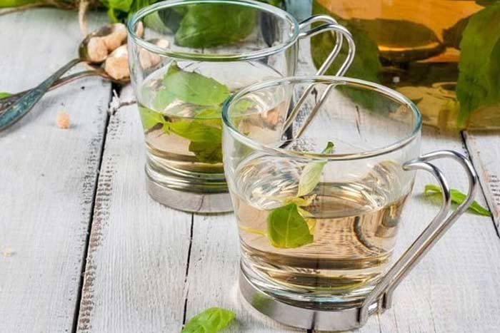 О свойствах чая с базиликом и его рецепты