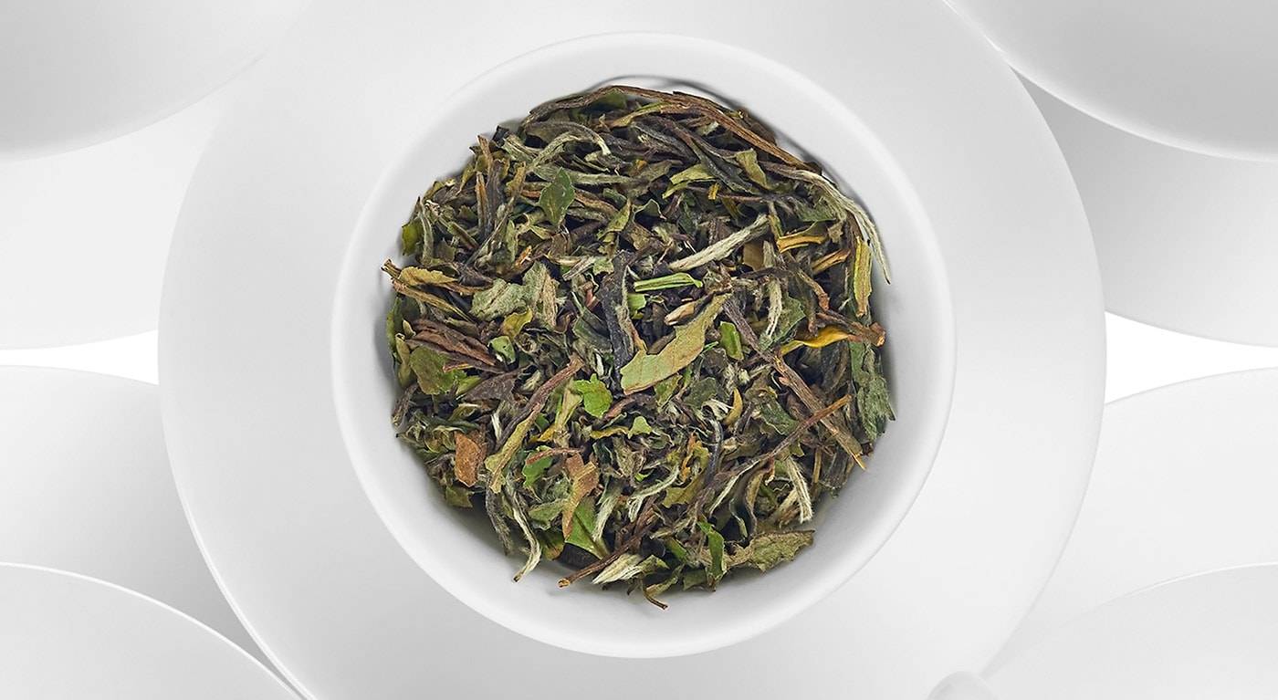 Полезные советы, как правильно заваривать черный чай в заварнике