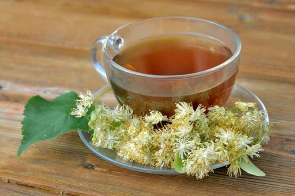 Липовый чай при беременности — природное лекарство