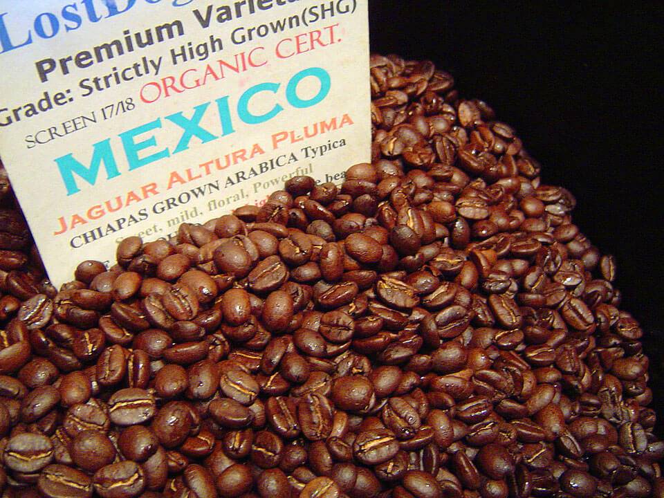 Что это за кофе, марагоджип? никарагуа, гватемала, колумбия, мексика – откуда лучше? от эксперта