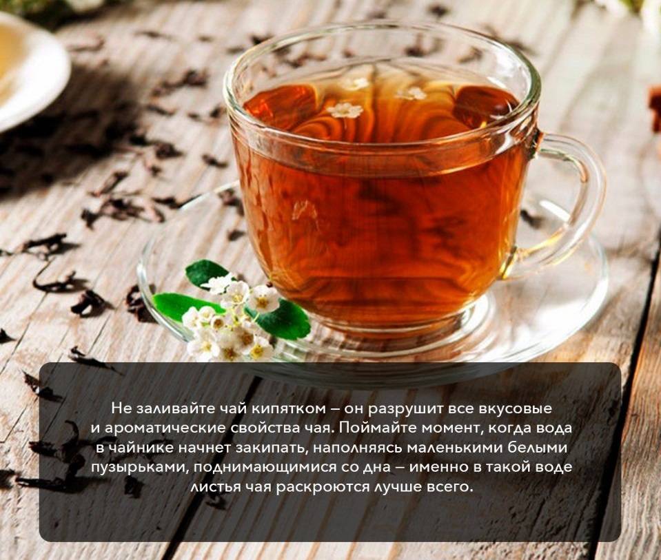 Полезный чай из чеснока: как его приготовить