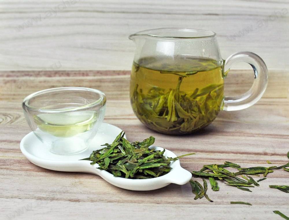 Белый чай: польза и вред. как заваривать белый чай :: syl.ru