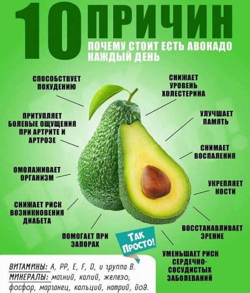Авокадо - фрукт здоровья и красоты. в чем его польза для здоровья человека