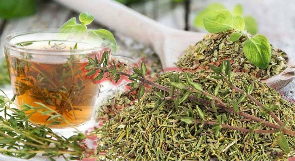 7 полезных рецептов чая с фенхелем (+8 уникальных свойств напитка)