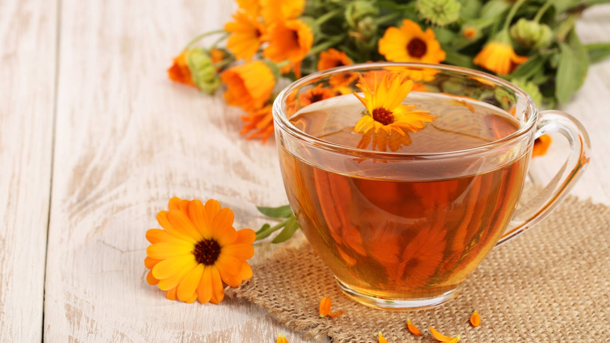 Чай из календулы: польза и вред, как заваривать и пить