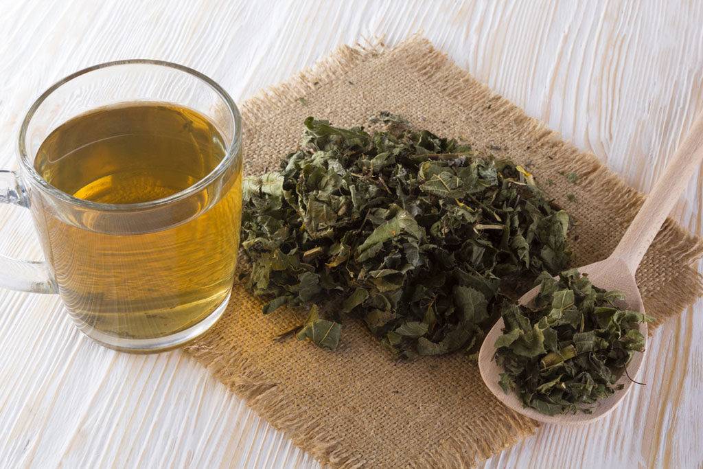 Алтей лекарственный. чай – великий целитель. сорта и их лечебные свойства, профилактика заболеваний. травяные чаи, лечебные свойства...