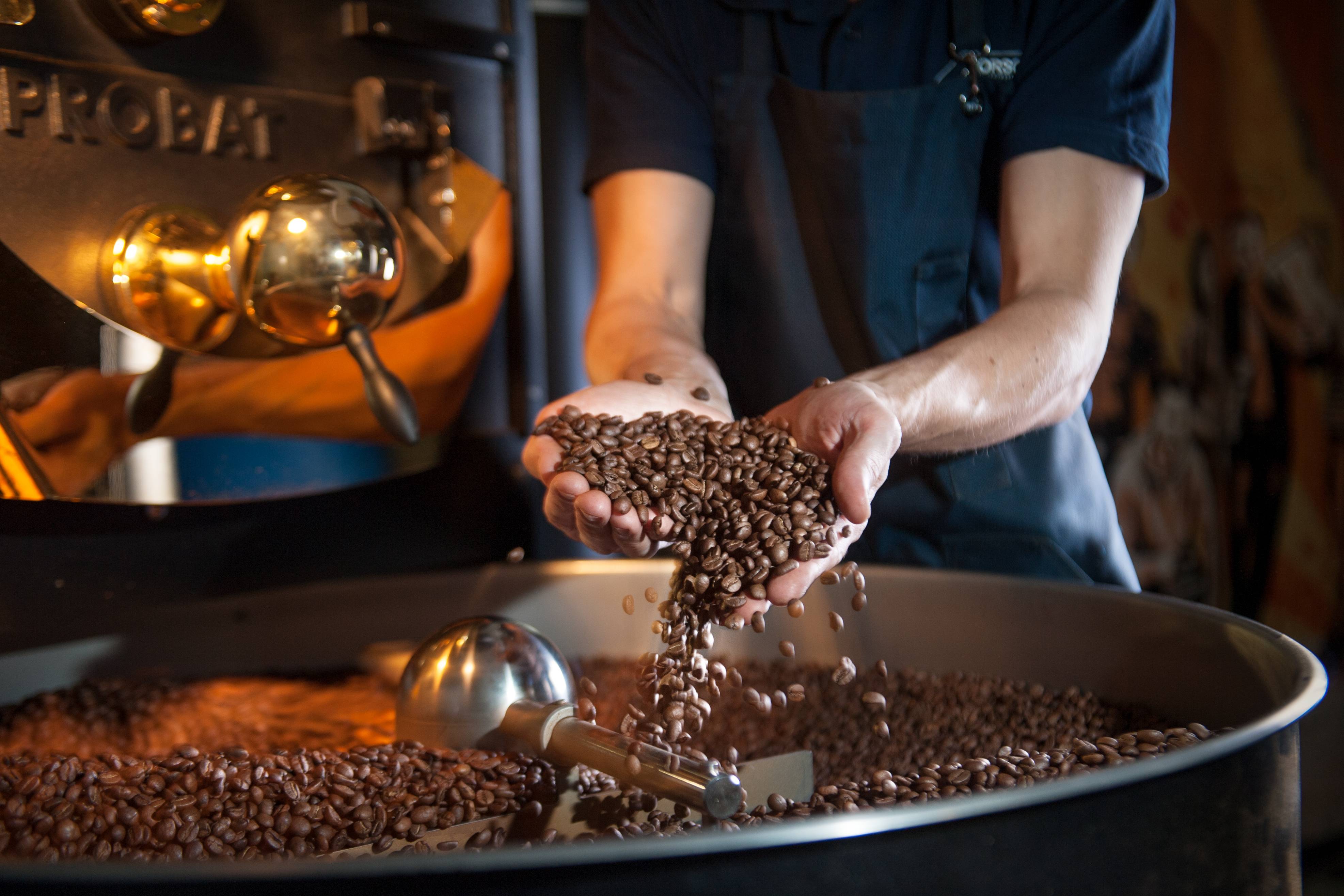 Польза и вред сублимированного кофе, процесс производства, отличия