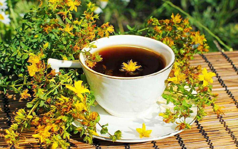 Чай из душицы – рецепты заваривания и польза