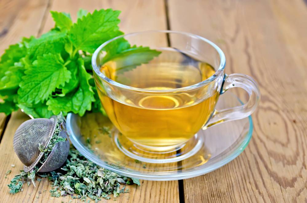 Чай с мелиссой - польза и вред для организма мужчины и женщины. полезные свойства и противопоказания