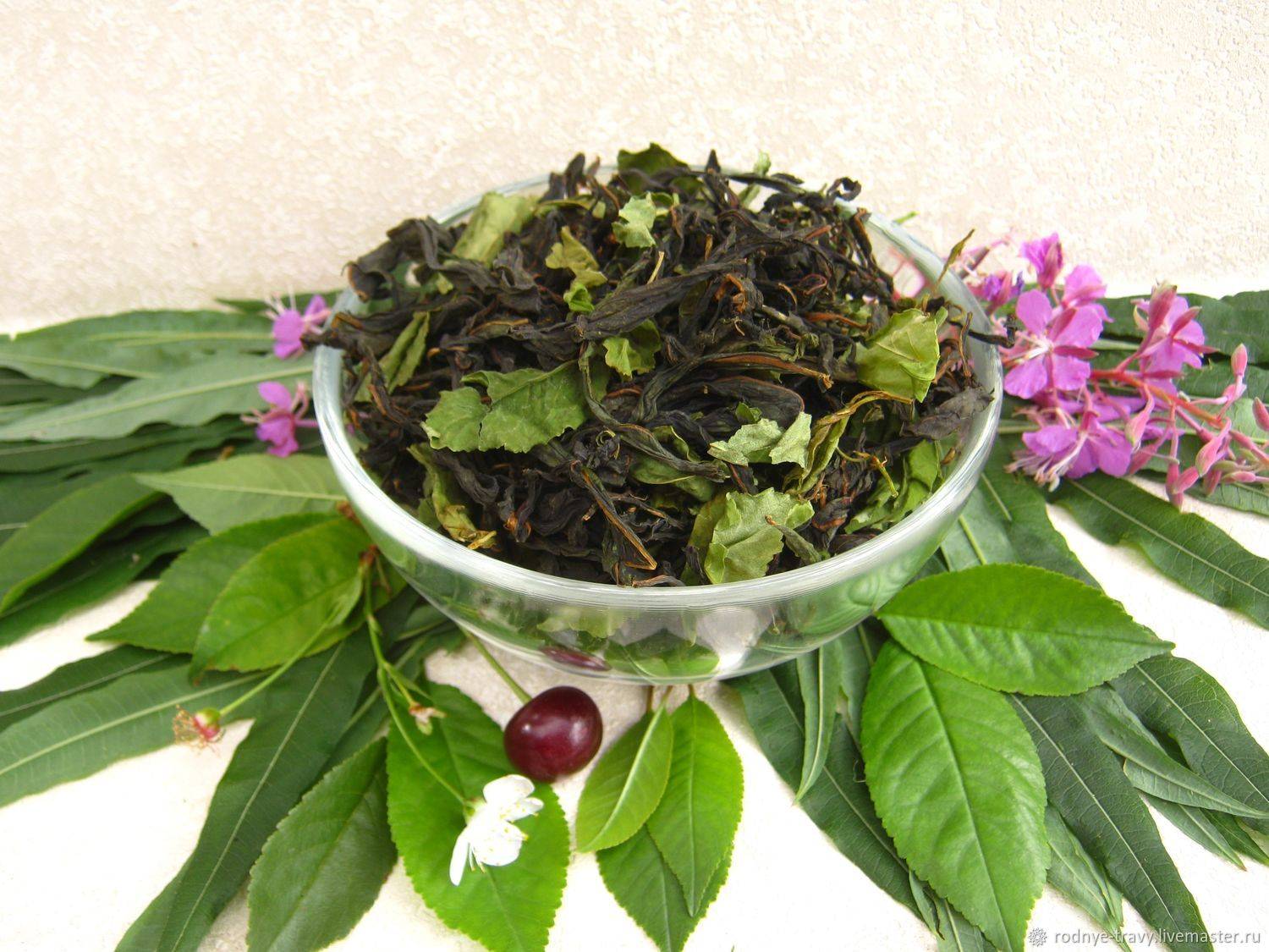 Чай из листьев вишни ферментированный - польза и вред, заварка
