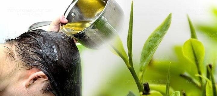 Ополаскивание волос чаем – зеленым и черным: чем полезно и как его проводить, как приготовить отвар и настой, можно ли добавлять другие травы?
