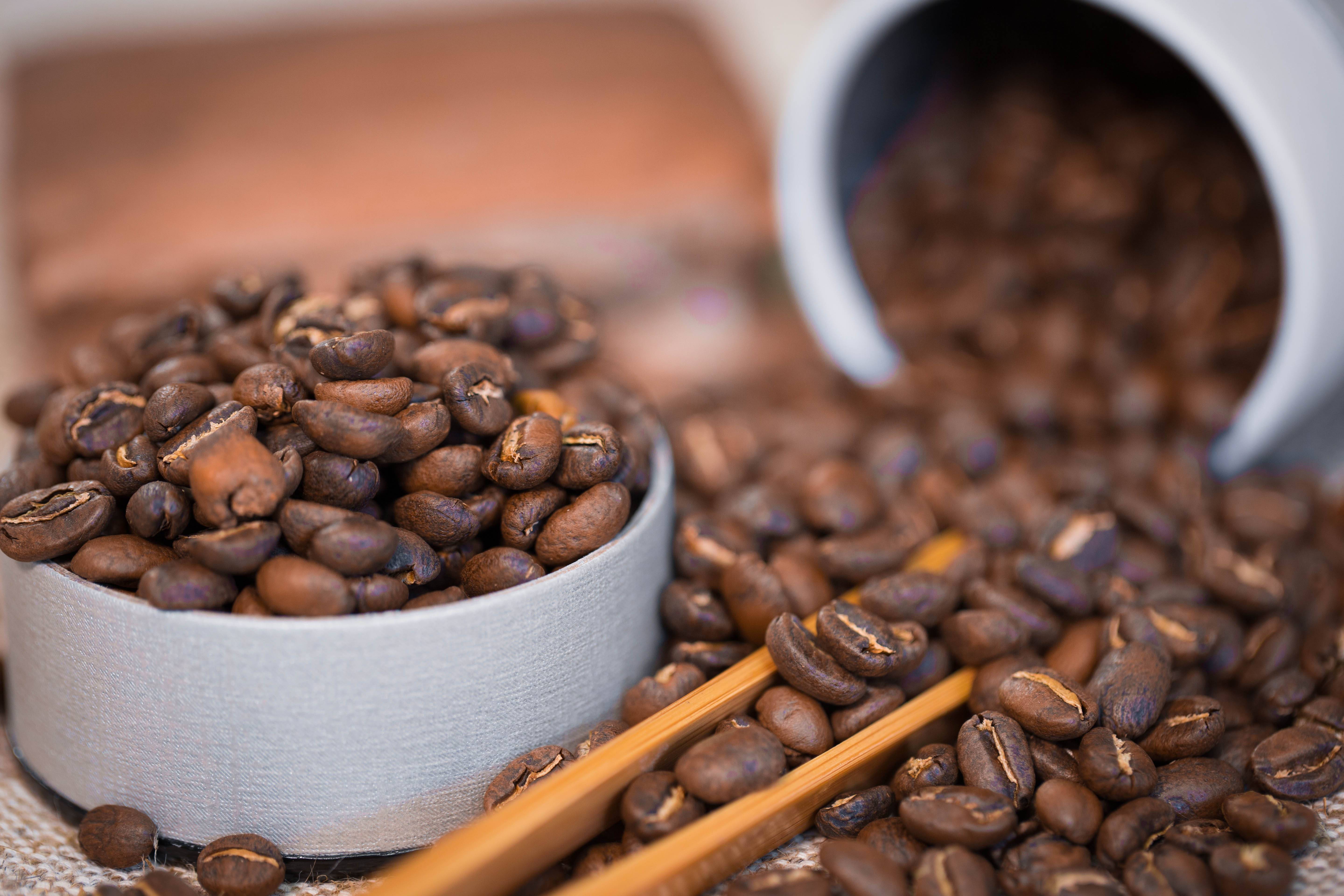 Что такое плантационный кофе? его особенности и отличия