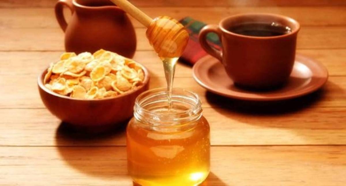 Мед с корицей для похудения: рецепт, отзывы врачей, как приготовить и пить.