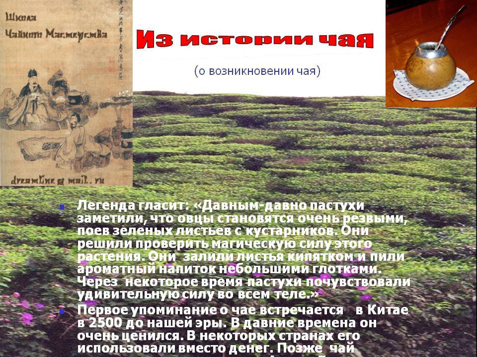 История возникновения чая картинки