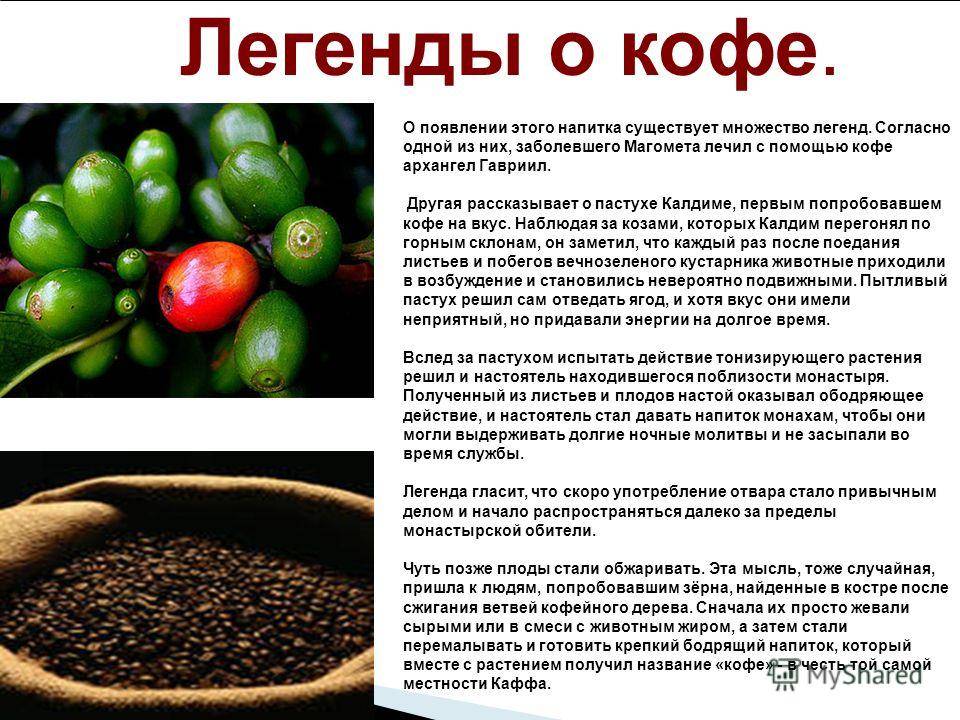 История кофе: из эфиопии в страны запада