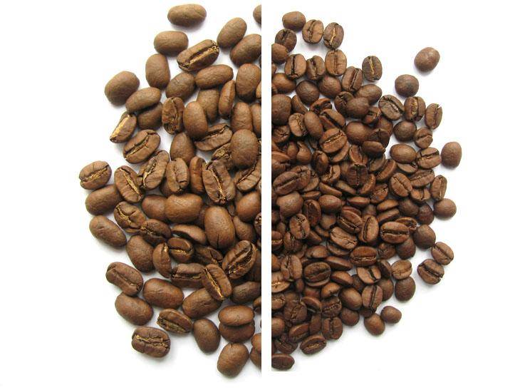 Кофе марагоджип: какой у него вкус, сорта и виды, описание