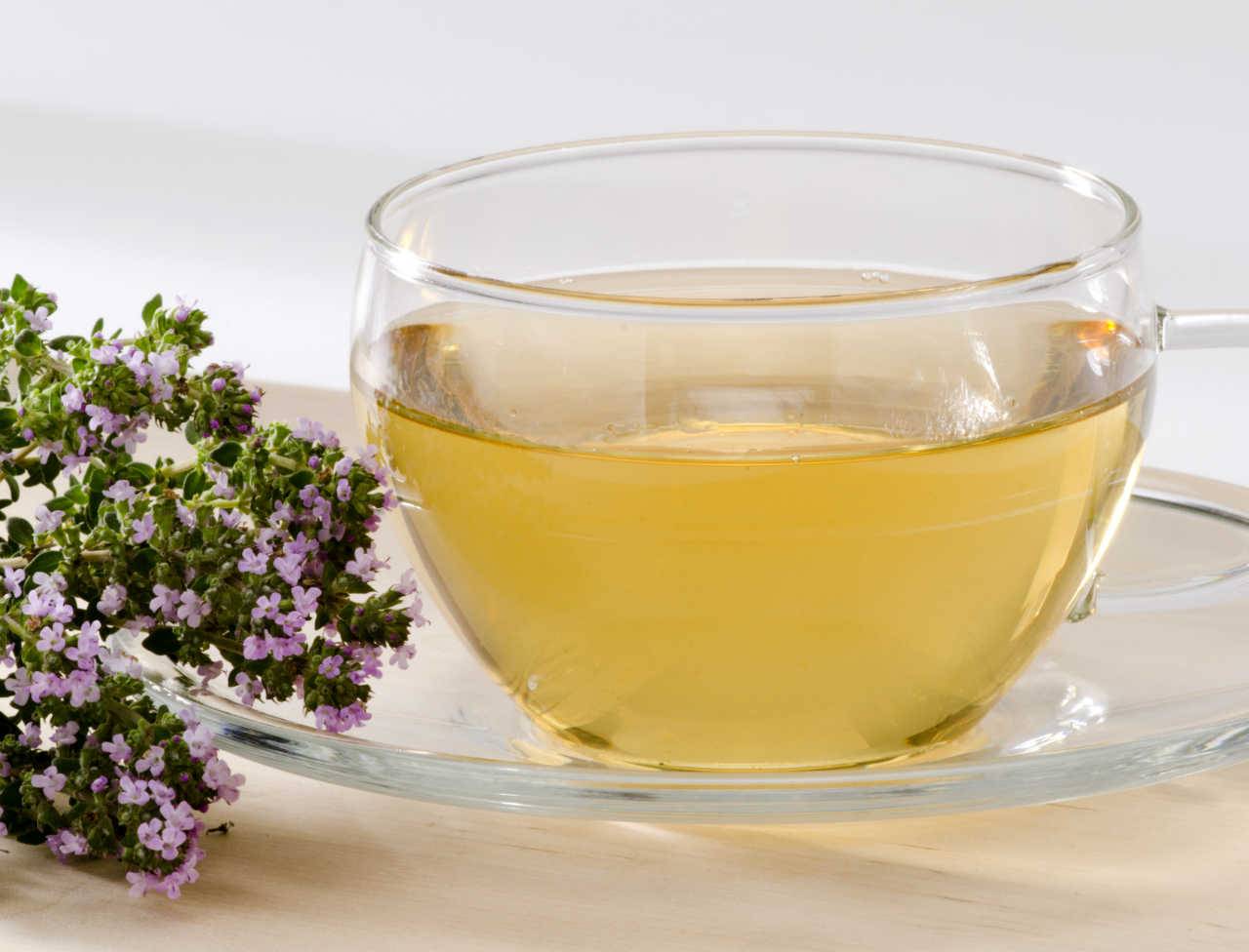 Чай с душицей: свойства, польза и вред, заваривание, беременным