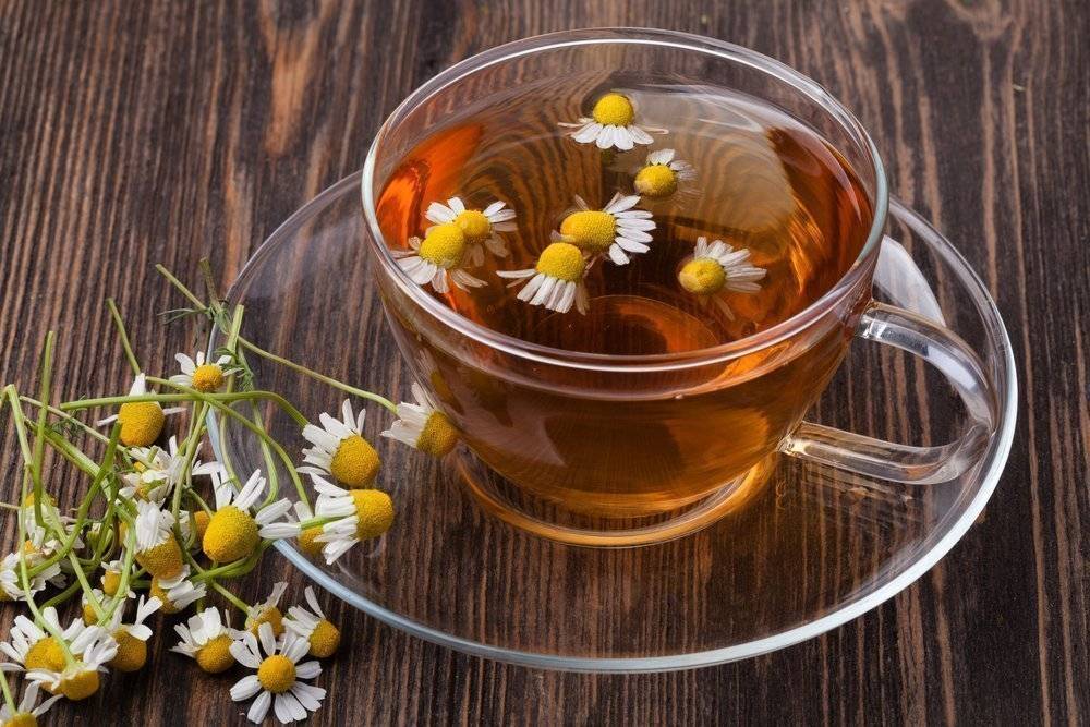 7 полезных для организма свойств чая из ромашки. вред