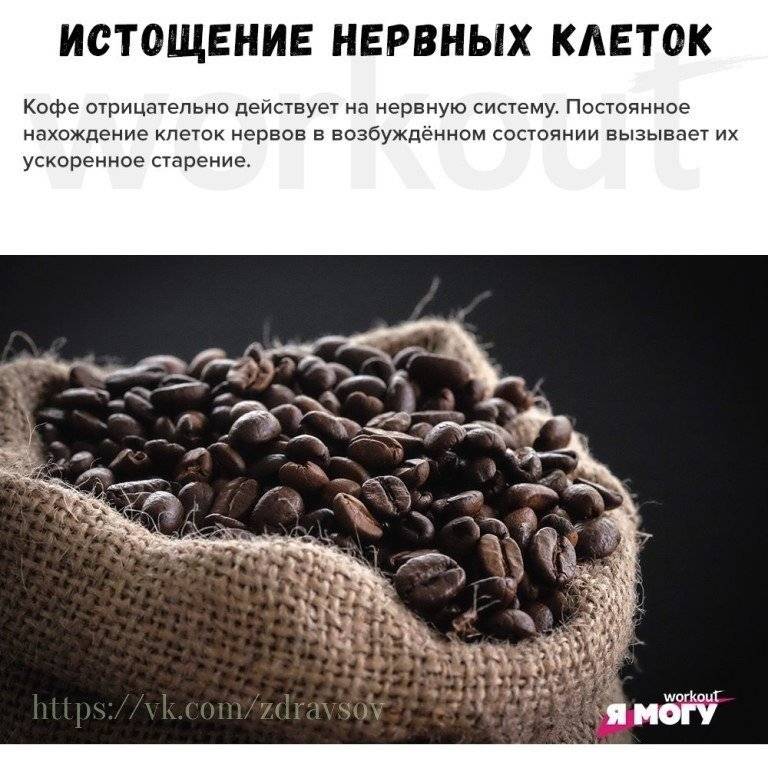 Сколько кофе можно пить в день – суточные нормы употребления