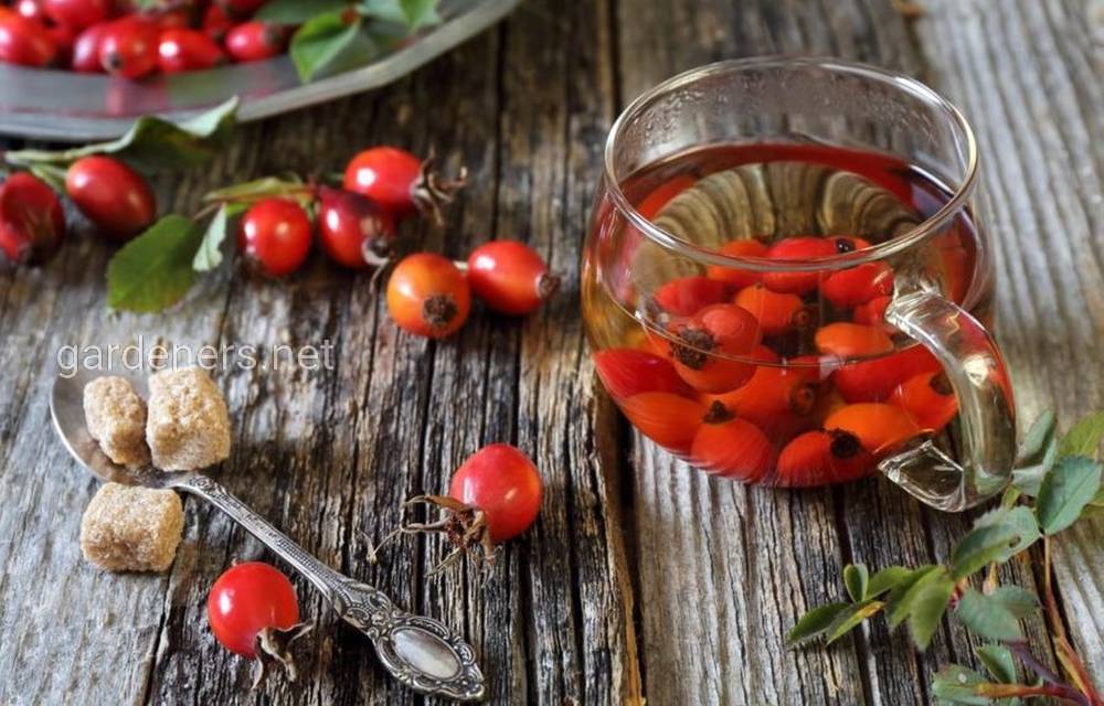 Чайные напитки