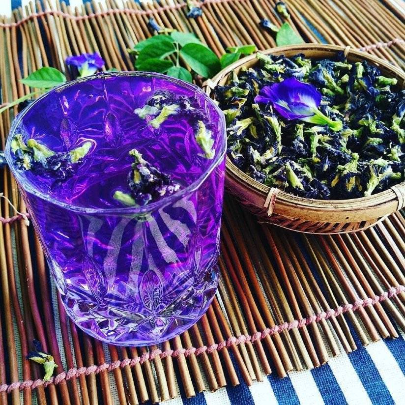 Пурпурный чай чанг шу для похудения – как принимать